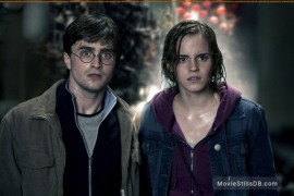 harry-potter-and-the-deathly-hallows-part-ii-lg